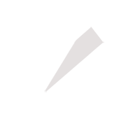 揭阳临时保镖服务